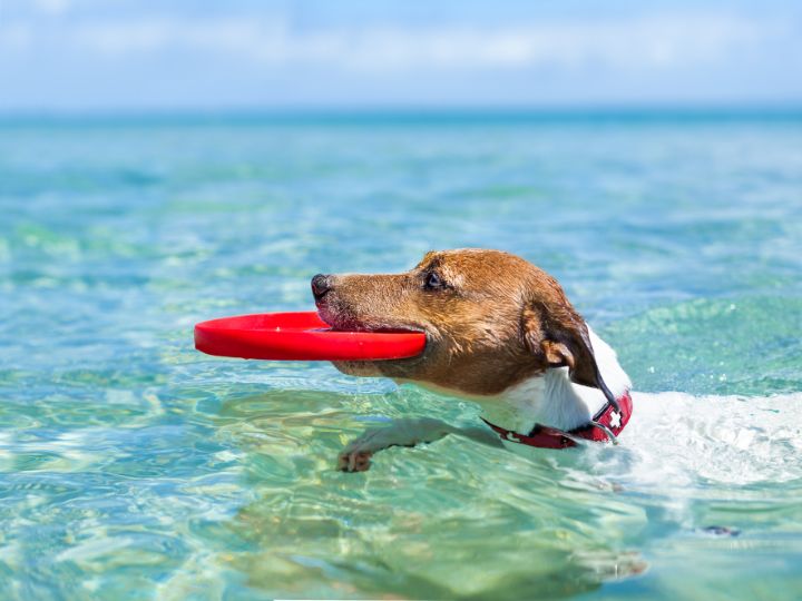 Sportmotivation, den für dich richtigen Sport finden