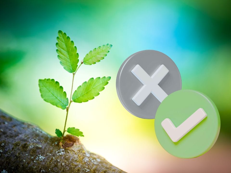 7 Missverständnisse über die Sinnfrage auf dem Prüfstand